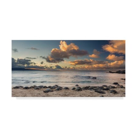 Trademark Fine Art Pierre Leclerc 'Turtle Beach' Canvas Art, 24x47 PL00426-C2447GG